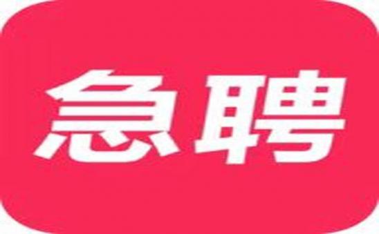 拉萨夜店招聘包厢模特，免住宿免入职，日结1000-2000元报销车票，合作共赢图片