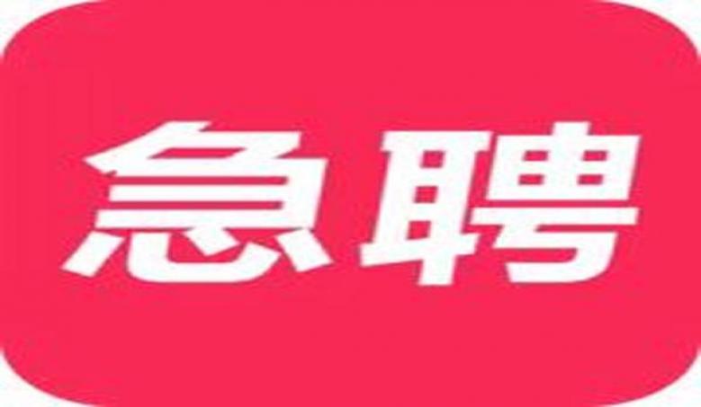 乌海高档ktv招聘佳丽模特，本地招聘，每天结算1500元起包吃，解决工作难题图片